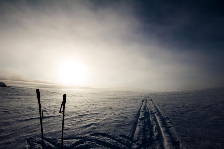 Ski poles resting on a pristine snow-covered landscape at Hardangervidda during winter.