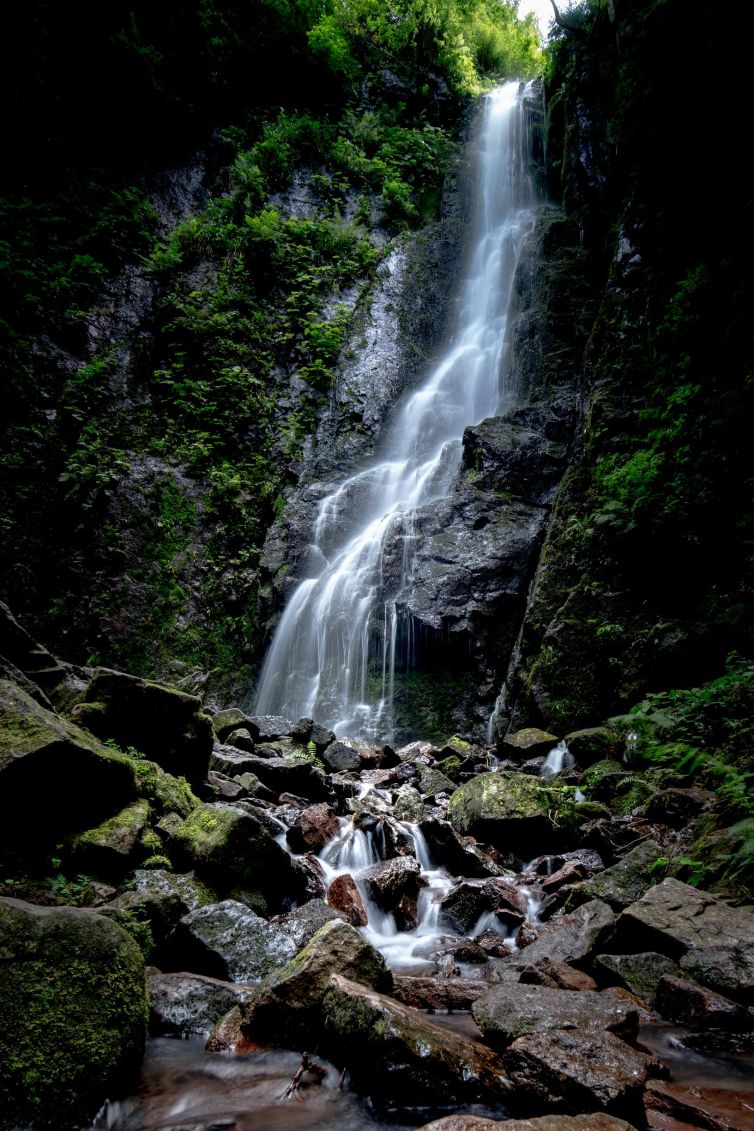 Cascading waterfall in a vibrant green forest, surrounded by rocky terrain.