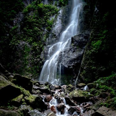 Cascading waterfall in a vibrant green forest, surrounded by rocky terrain.