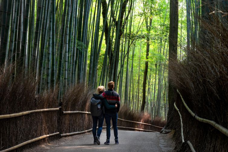 Couple in a bamboo forest in Kyoto, Japan, embracing amidst towering greenery.