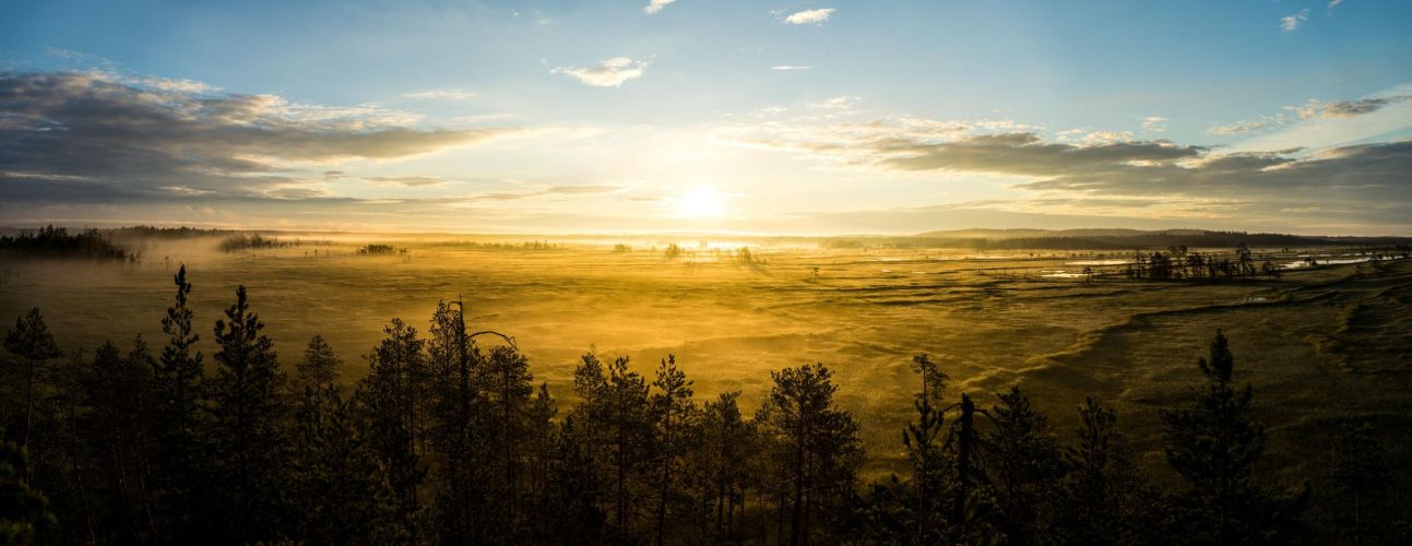 Landscape