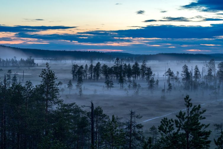 Misty landscape in North Karelia, Finland with silhouettes of trees and dawn sky.