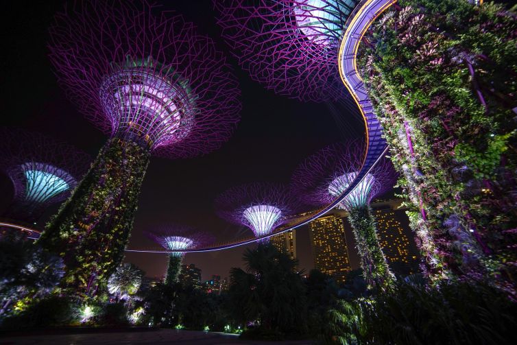 Vibrant illuminated Supertrees in Singapore's Garden by the Bay at night.