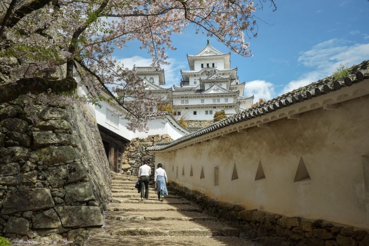 Pathway to Himeji Castle surrounded by cherry blossoms, capturing Japanese heritage.