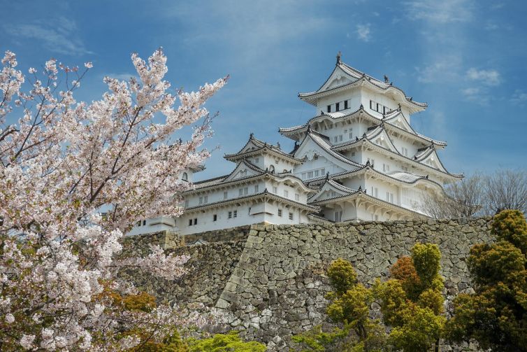Magnificent Himeji Castle surrounded by cherry blossoms in spring.