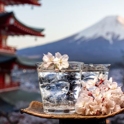 Two glasses of a refreshing drink with cherry blossoms in front of a Japanese pagoda and Mount Fuji.