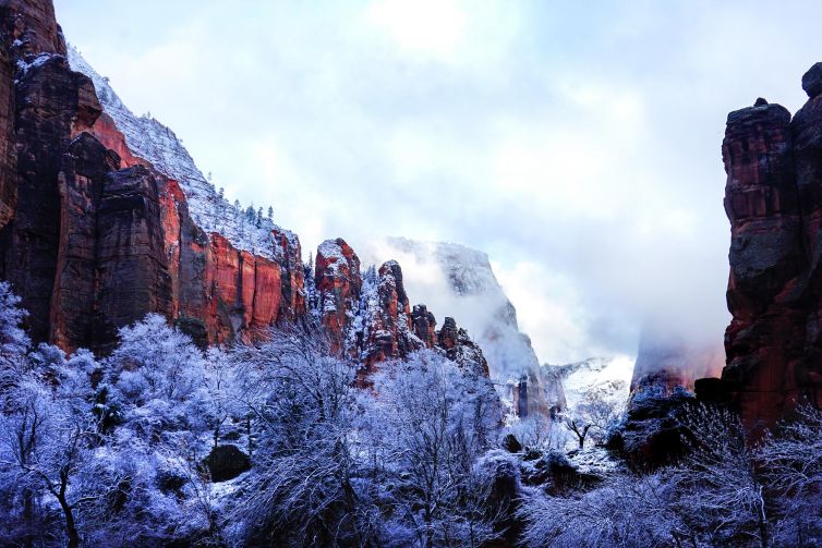 Snow-covered landscape with towering red cliffs in Zion National Park, Utah.