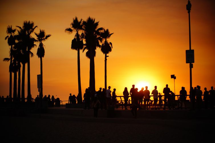 Venice beach silhouettes at sunset with palm trees and vibrant sky.